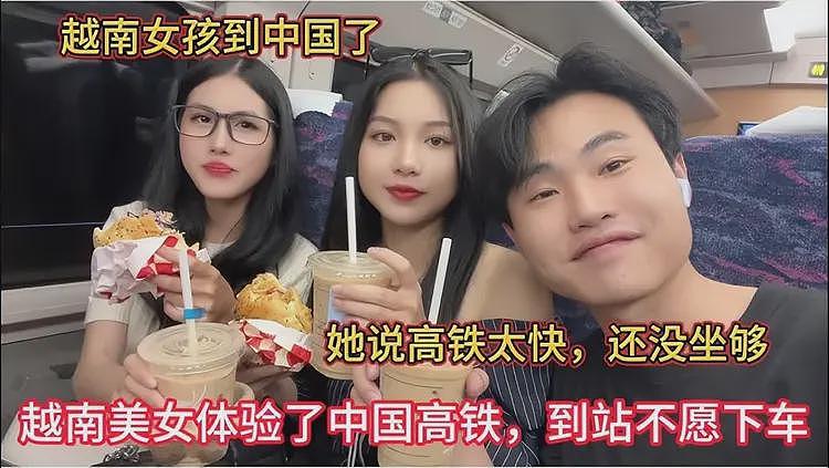 越南这场闹剧,终于还是没演下去,670亿美金的高铁梦彻底碎了(组图) - 13