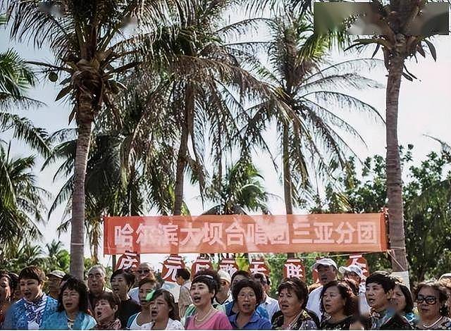 三亚不香了？东北人撤离成潮，压垮他们的不是物价（组图） - 18