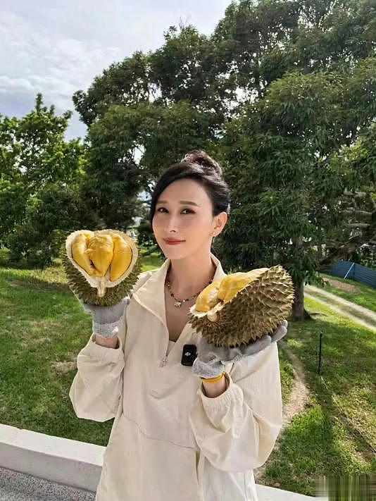 胡静罕见晒出豪门6000平庄园，与丈夫5兄妹同住（组图） - 2