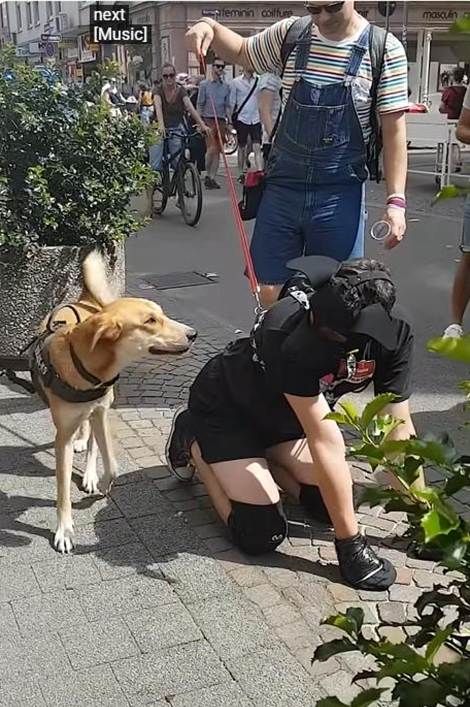 欧洲人沉迷做狗？在大街上当狗越来越火，他们：这叫自我认同…（组图） - 16