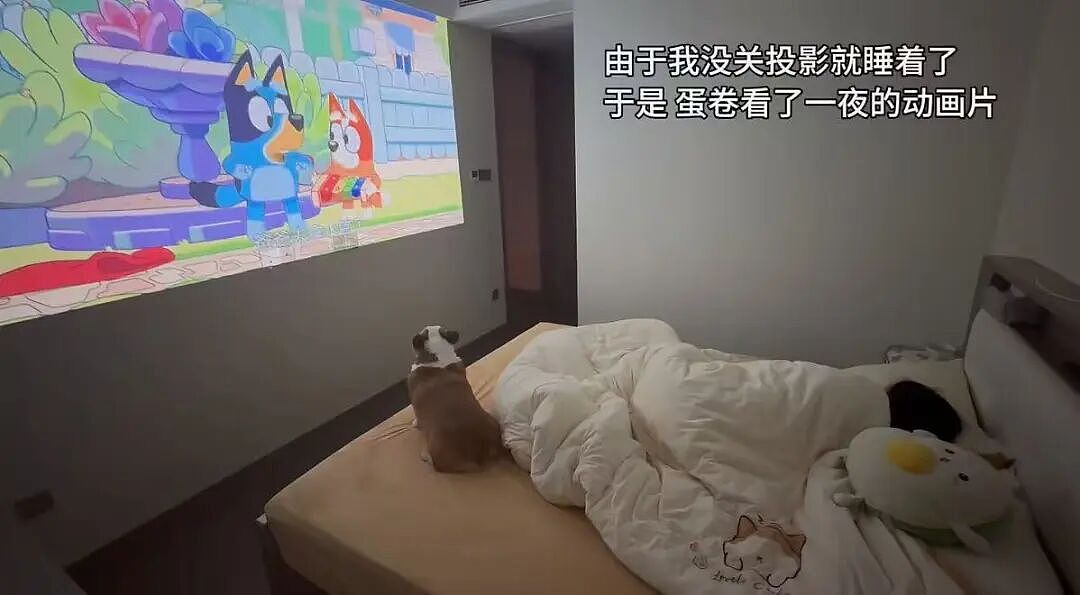 【爆笑】“人生建议不要在家全职备孕…”啊啊啊全职备考我听过全职备孕是什么意思（组图） - 14