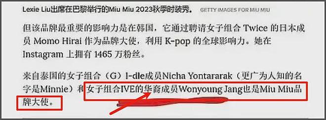 韩女团爱豆张元英辱华升级！在港参加活动发言挑衅，相关代言被抵制连夜捂嘴（组图） - 26