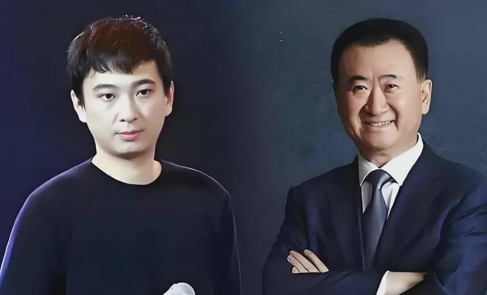 资产接连遭拍卖,王健林父子齐“落难”(组图) - 1