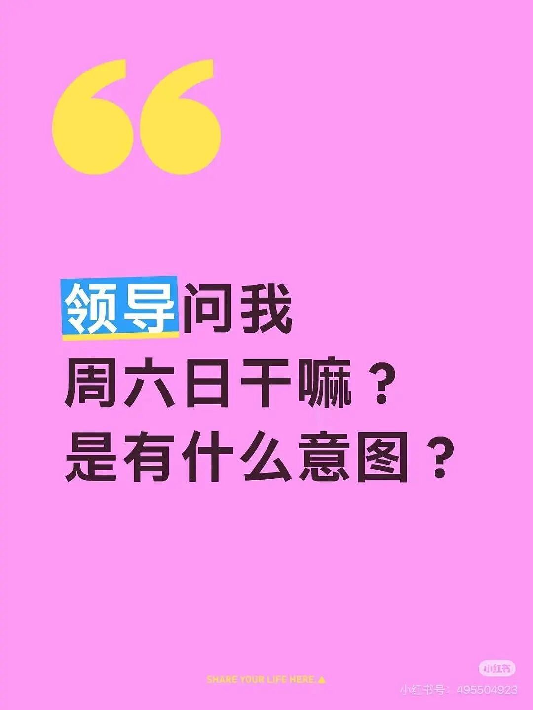 【爆笑】“人生建议不要在家全职备孕…”啊啊啊全职备考我听过全职备孕是什么意思（组图） - 47