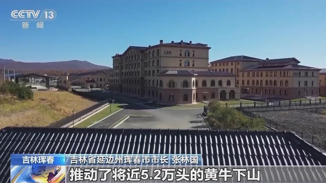 中国首记录一虎带五崽，东北虎为何如此“多产”？（组图） - 7