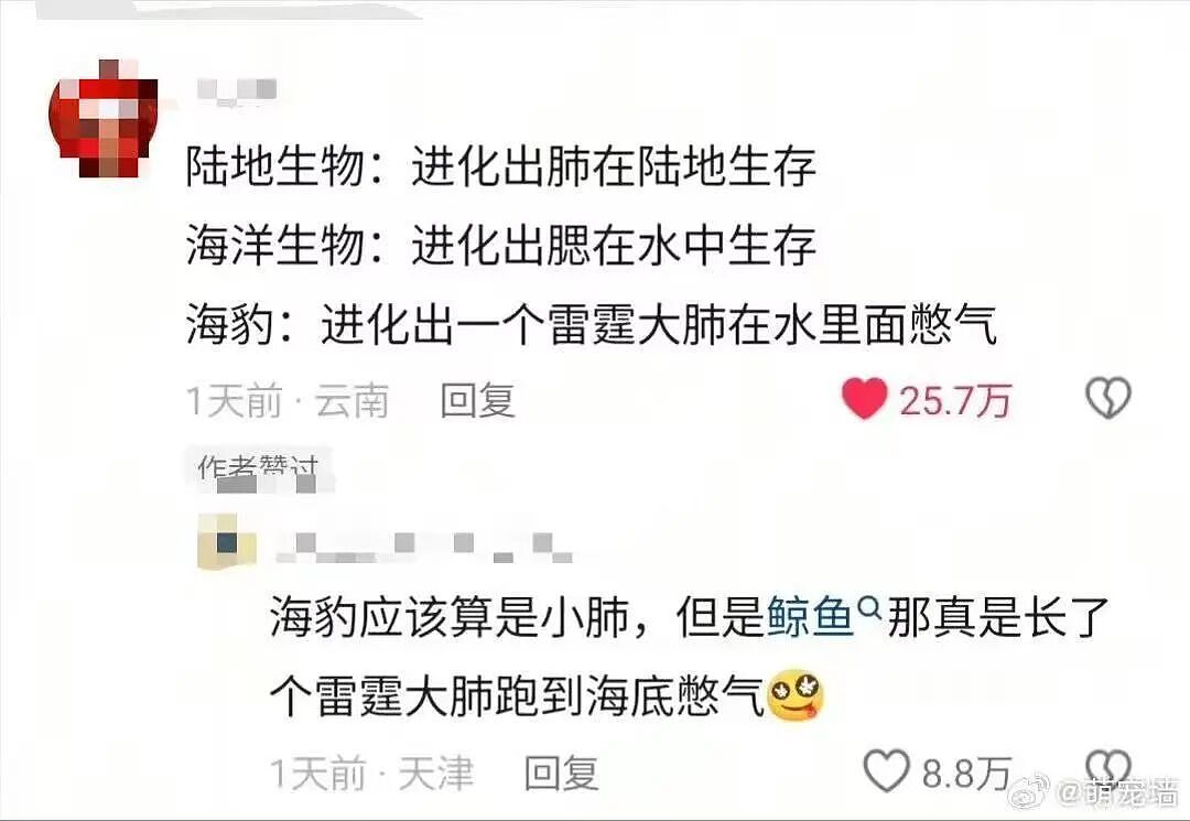 【爆笑】“人生建议不要在家全职备孕…”啊啊啊全职备考我听过全职备孕是什么意思（组图） - 63