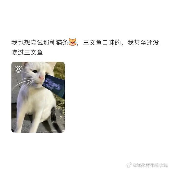 【爆笑】我不用假睫毛，这是什么毛？老公床上发现的？网友们的评论太炸裂（组图） - 35
