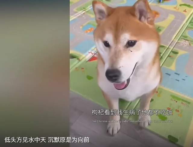 郑爽在美国越混越差!打官司诉讼费都掏不起,前夫张恒比她还沦落(组图) - 11