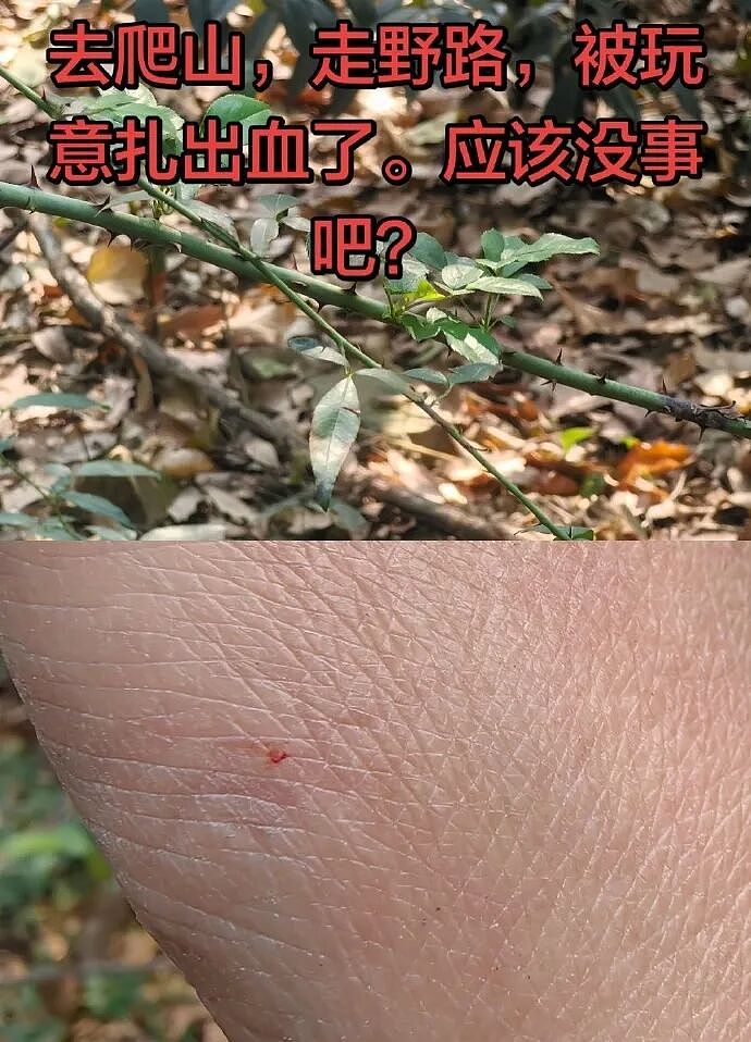 【爆笑】我不用假睫毛，这是什么毛？老公床上发现的？网友们的评论太炸裂（组图） - 5