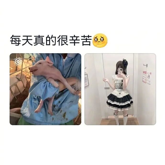 【爆笑】我不用假睫毛，这是什么毛？老公床上发现的？网友们的评论太炸裂（组图） - 43