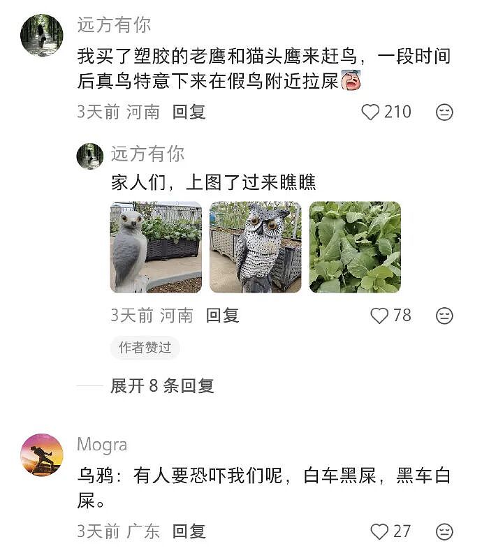 【爆笑】我不用假睫毛，这是什么毛？老公床上发现的？网友们的评论太炸裂（组图） - 76