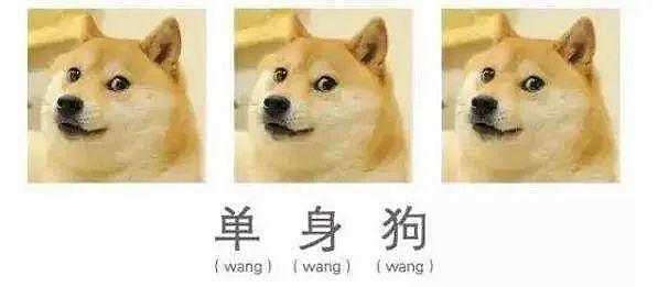 【两性】科普羞羞:为啥人类天天都是“发情期”(组图) - 10