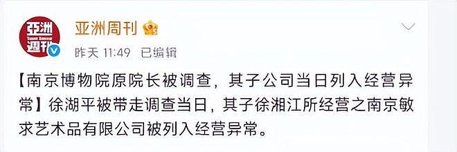 南博又出大瓜，徐湖平落马，儿子徐湘江公司暴雷，又有人浮出水面（组图） - 22