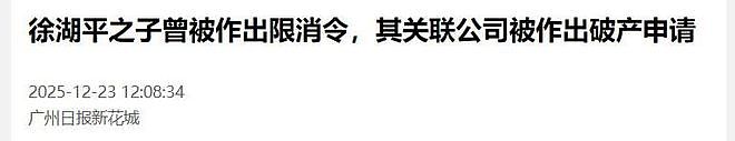南博又出大瓜，徐湖平落马，儿子徐湘江公司暴雷，又有人浮出水面（组图） - 20