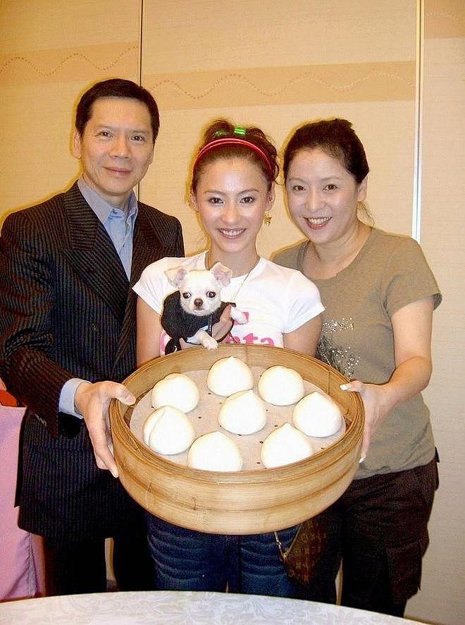 张柏芝再次出庭,被爆出遭向太封杀内幕,含泪回应称没法说(组图) - 4