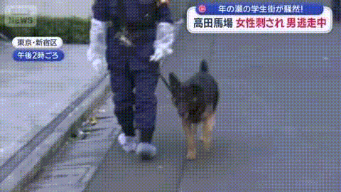 突发！日本高田马场又出事，30多岁女子身中数刀！行凶男子疑似中国人…（组图） - 13