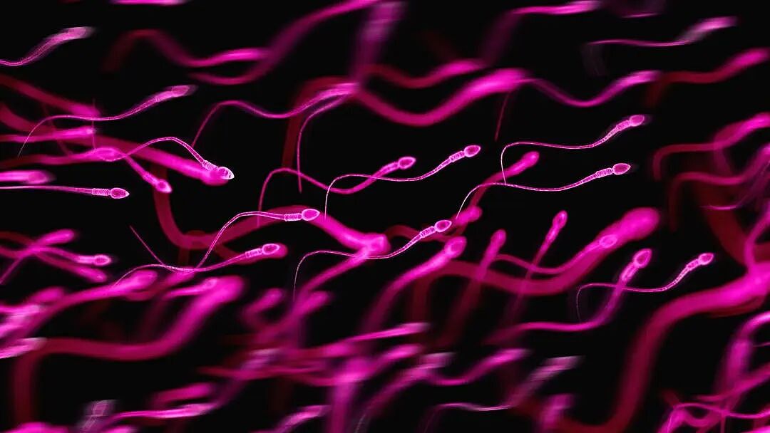欧洲灾难!男子捐精狂生197个孩子,竟携带致癌基因?10个孩子中招了…(组图) - 7