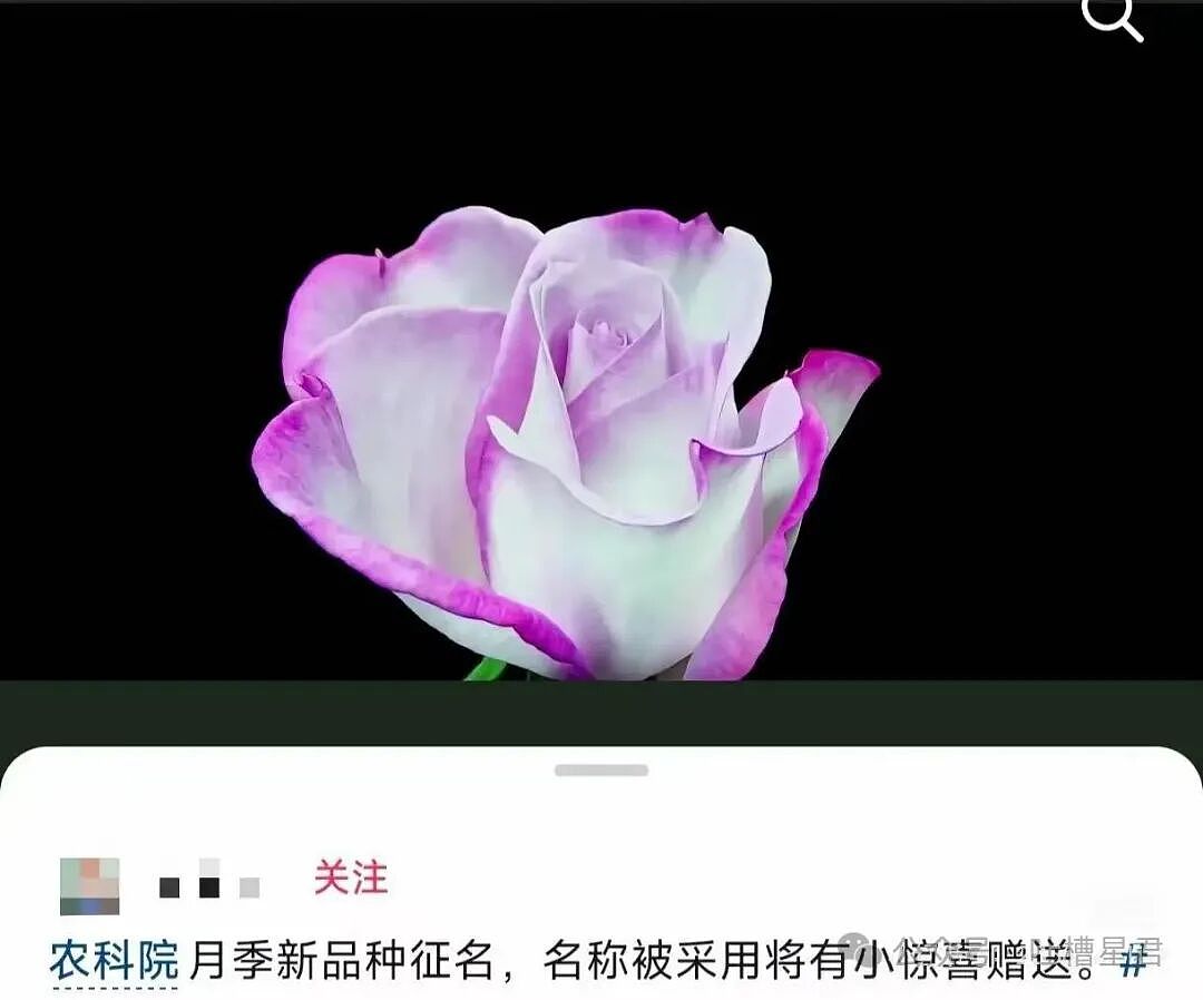 【爆笑】瘦了十斤后闺蜜竟和我反目成仇…？啊啊啊就算是仇人也不该这样（组图） - 36