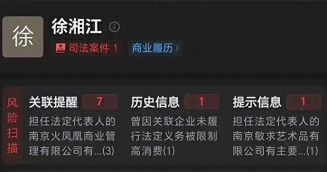 南博又出大瓜，徐湖平落马，儿子徐湘江公司暴雷，又有人浮出水面（组图） - 4