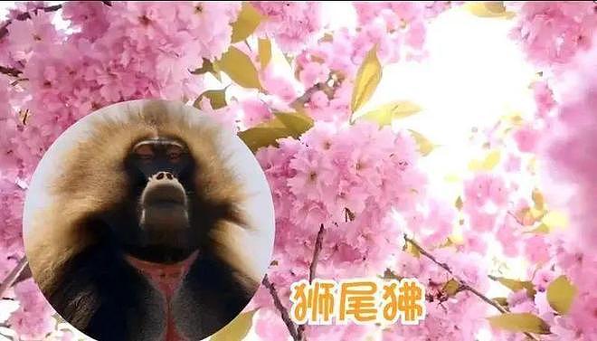 【两性】科普羞羞:为啥人类天天都是“发情期”(组图) - 5