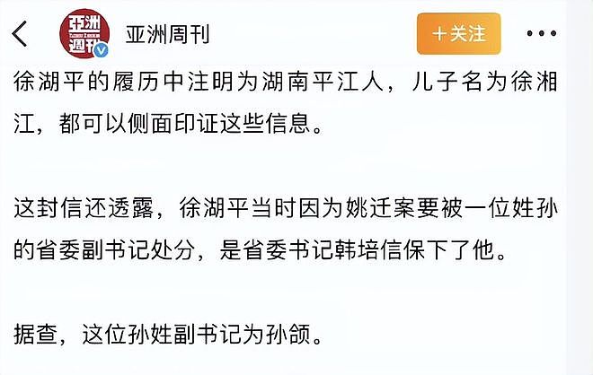 南博又出大瓜，徐湖平落马，儿子徐湘江公司暴雷，又有人浮出水面（组图） - 14