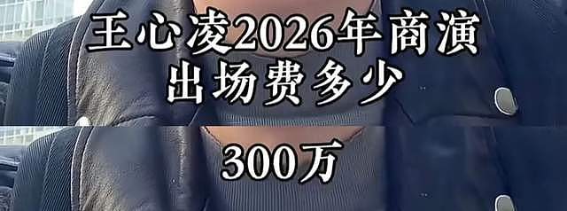 歌手出场费揭秘!薛之谦价格媲美林俊杰,杨丞琳比张韶涵低50万(组图) - 13