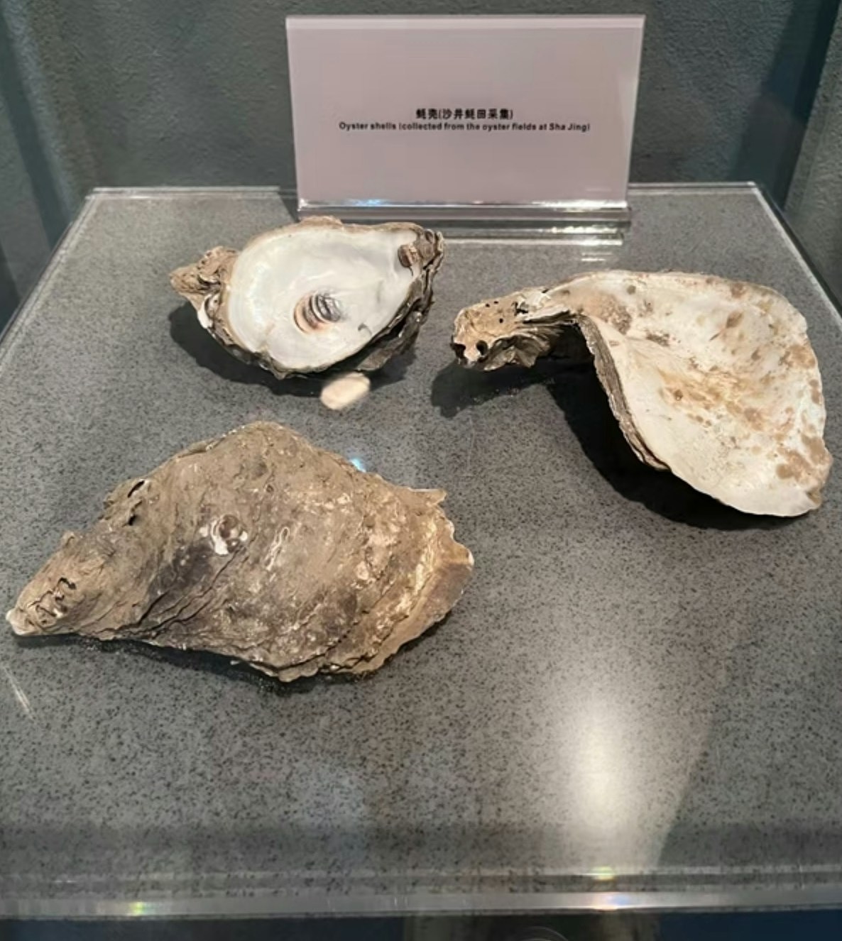深圳博物馆展出打工仔洗漱三件套，网民封：最不怕被盗的博物馆（组图） - 5