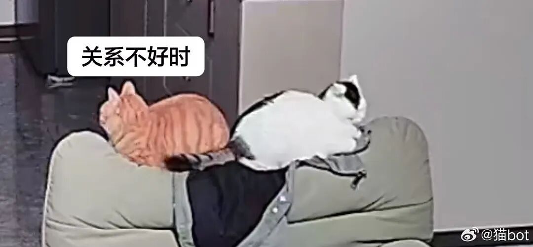 【爆笑】“骚扰我半年的油腻大叔竟是…?”哈哈哈,每次跟室友吐槽对方都憋得想亖!(组图) - 44