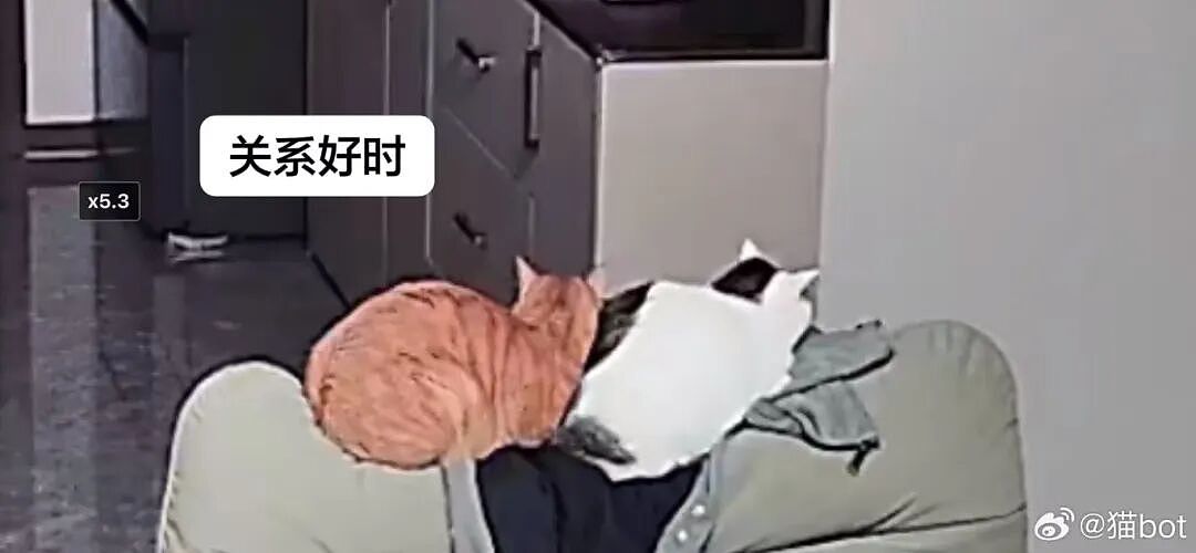 【爆笑】“骚扰我半年的油腻大叔竟是…?”哈哈哈,每次跟室友吐槽对方都憋得想亖!(组图) - 43