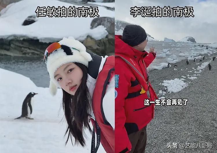 36岁男明星晒南极旅游！天天吃泡面，吐槽企鹅屎臭，网友：祛魅了（组图） - 9