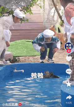 继啃老后，95后家长开始“啃小”了（组图） - 6