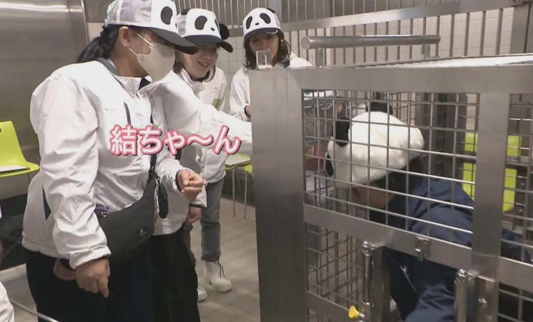 归还大熊猫后,日本游乐园让游客体验当饲养员,工作人员扮大熊猫配合?(组图) - 21