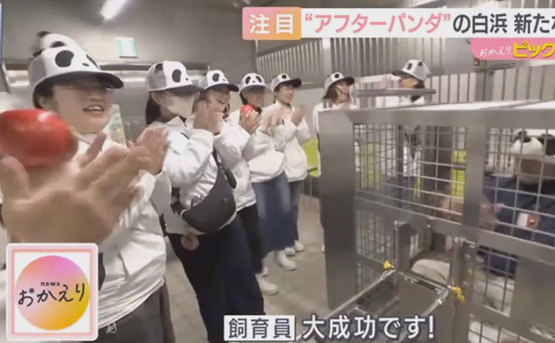 归还大熊猫后,日本游乐园让游客体验当饲养员,工作人员扮大熊猫配合?(组图) - 24