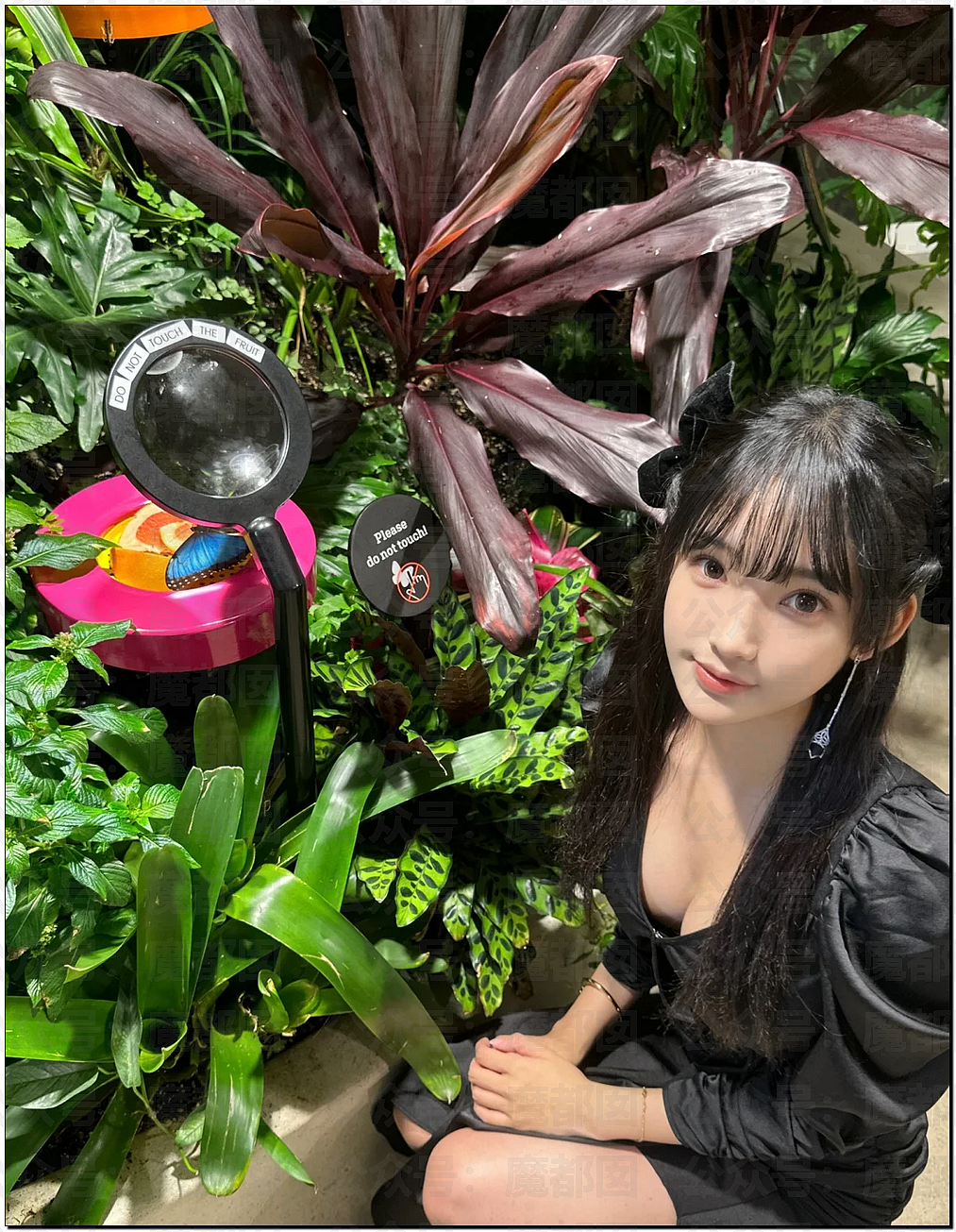 震撼！华语顶流天王林俊杰官宣小21岁女友，却引发疑似擦边黑料？（组图） - 45