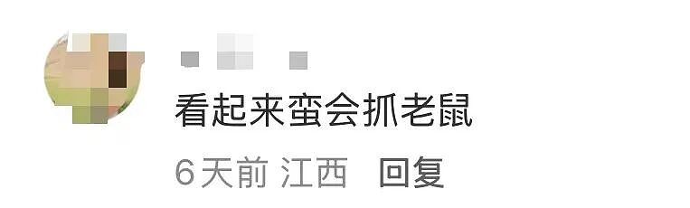 【爆笑】“骚扰我半年的油腻大叔竟是…?”哈哈哈,每次跟室友吐槽对方都憋得想亖!(组图) - 14