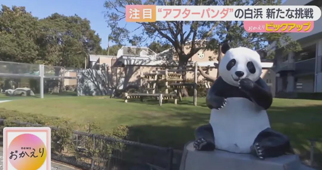 归还大熊猫后,日本游乐园让游客体验当饲养员,工作人员扮大熊猫配合?(组图) - 12