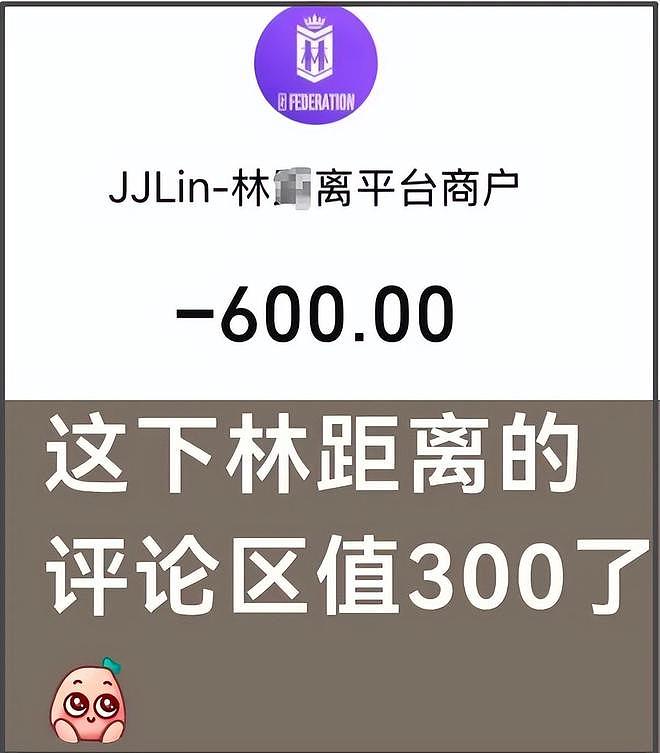 林俊杰被骂了上万条！粉丝在收费软件里崩溃，花几百块才能留言（组图） - 19