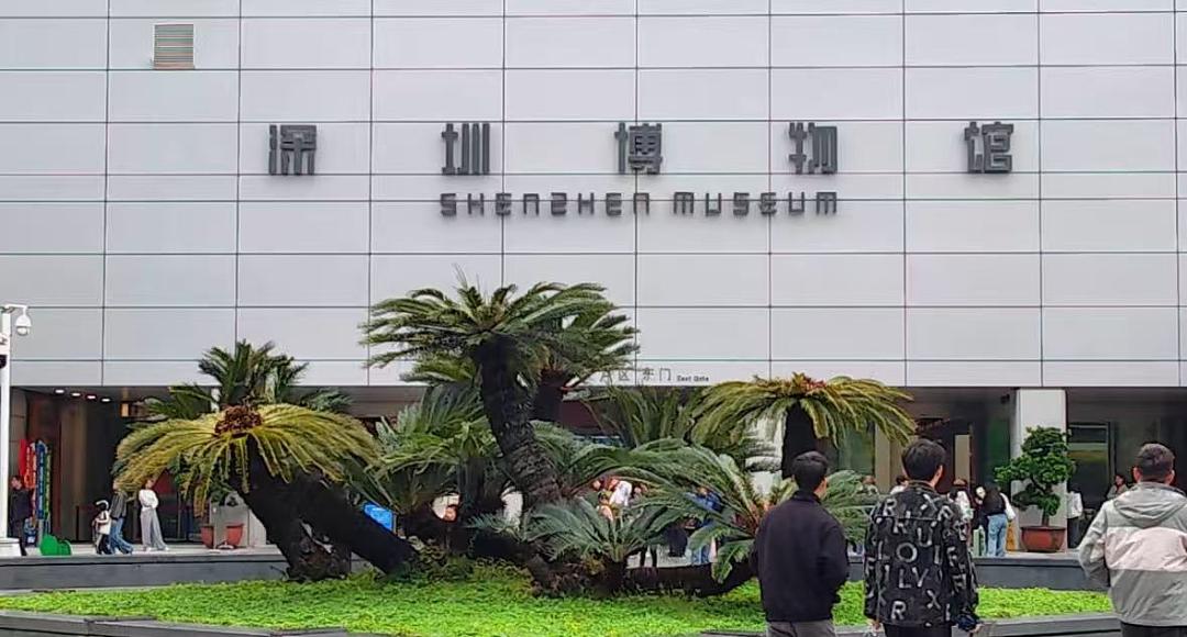 “最不怕被盗”！深圳博物馆，火上热搜（组图） - 26