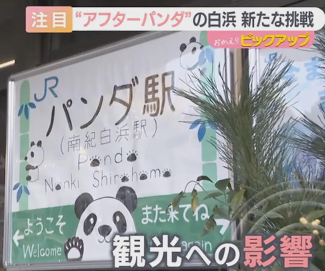 归还大熊猫后,日本游乐园让游客体验当饲养员,工作人员扮大熊猫配合?(组图) - 14