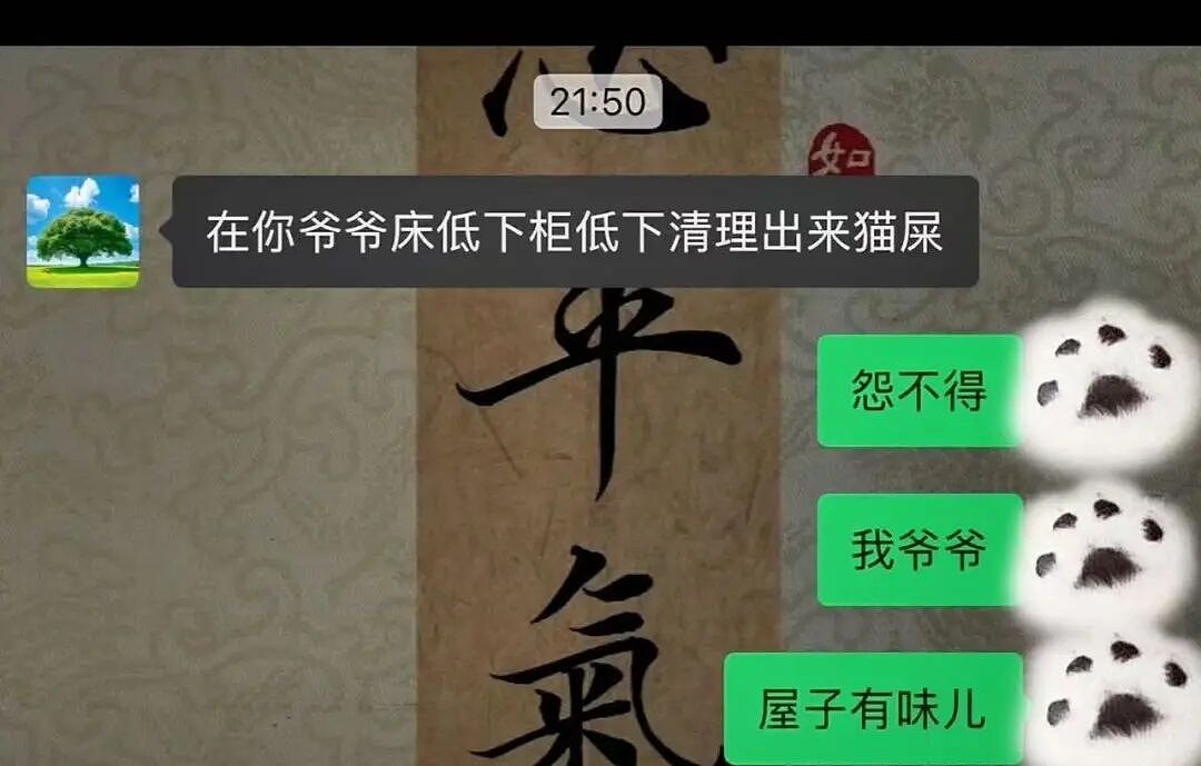 【爆笑】“骚扰我半年的油腻大叔竟是…?”哈哈哈,每次跟室友吐槽对方都憋得想亖!(组图) - 70