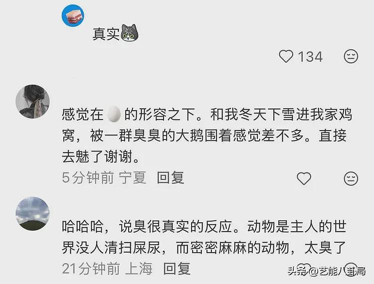 36岁男明星晒南极旅游！天天吃泡面，吐槽企鹅屎臭，网友：祛魅了（组图） - 14