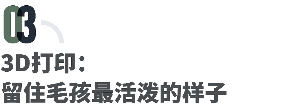 遗体修复,丧礼,破地狱:香港大火30天(组图) - 6