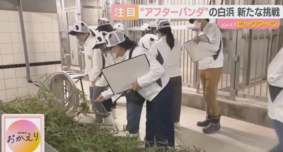 归还大熊猫后,日本游乐园让游客体验当饲养员,工作人员扮大熊猫配合?(组图) - 18