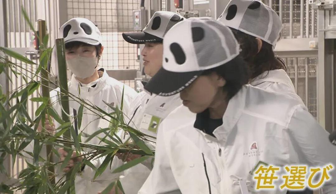 归还大熊猫后,日本游乐园让游客体验当饲养员,工作人员扮大熊猫配合?(组图) - 20