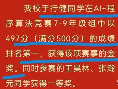 13岁天才少年陨落！藏着“衡水神话”的悲剧真相（组图） - 4