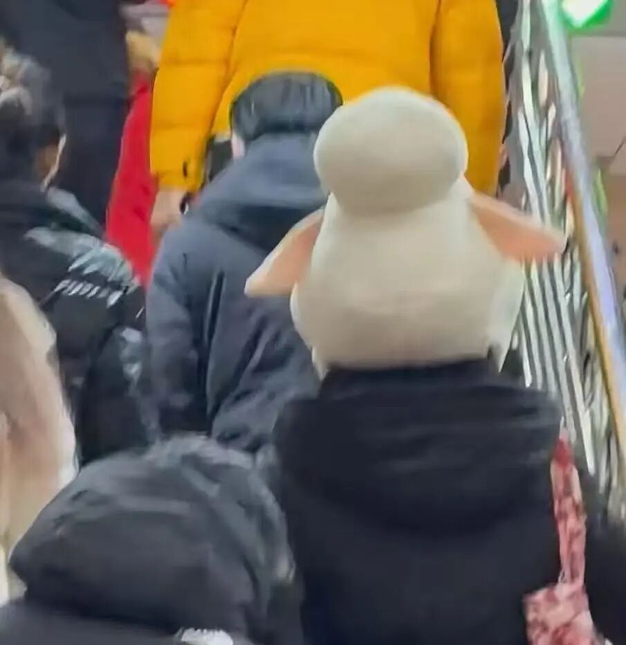 【爆笑】“骚扰我半年的油腻大叔竟是…?”哈哈哈,每次跟室友吐槽对方都憋得想亖!(组图) - 17