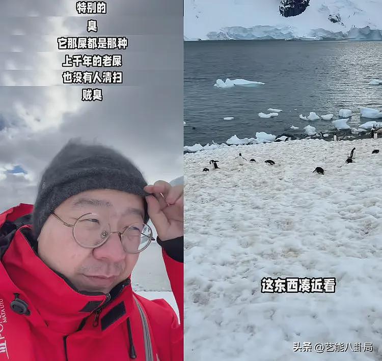 36岁男明星晒南极旅游！天天吃泡面，吐槽企鹅屎臭，网友：祛魅了（组图） - 7