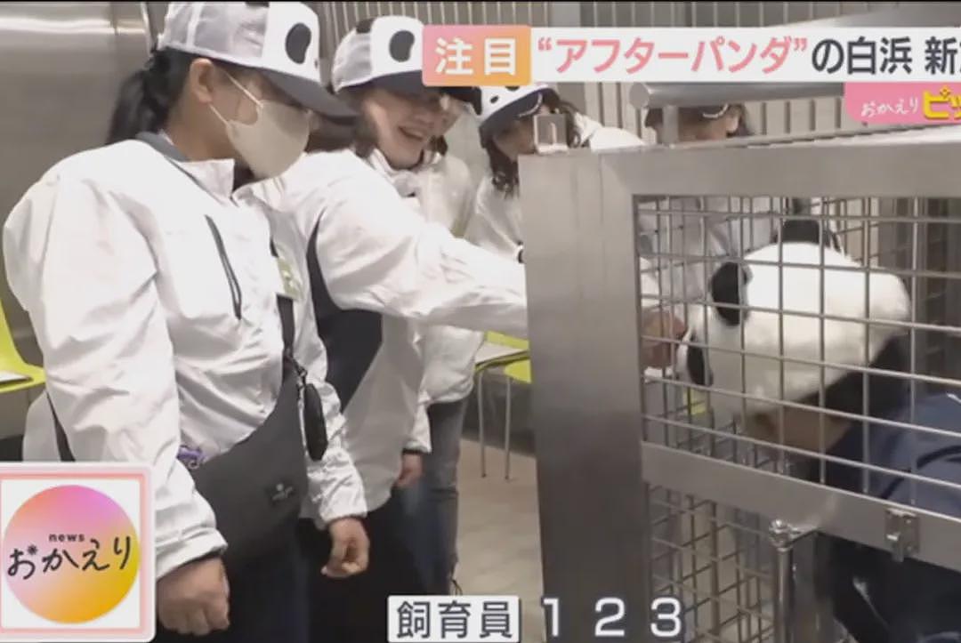 归还大熊猫后,日本游乐园让游客体验当饲养员,工作人员扮大熊猫配合?(组图) - 22