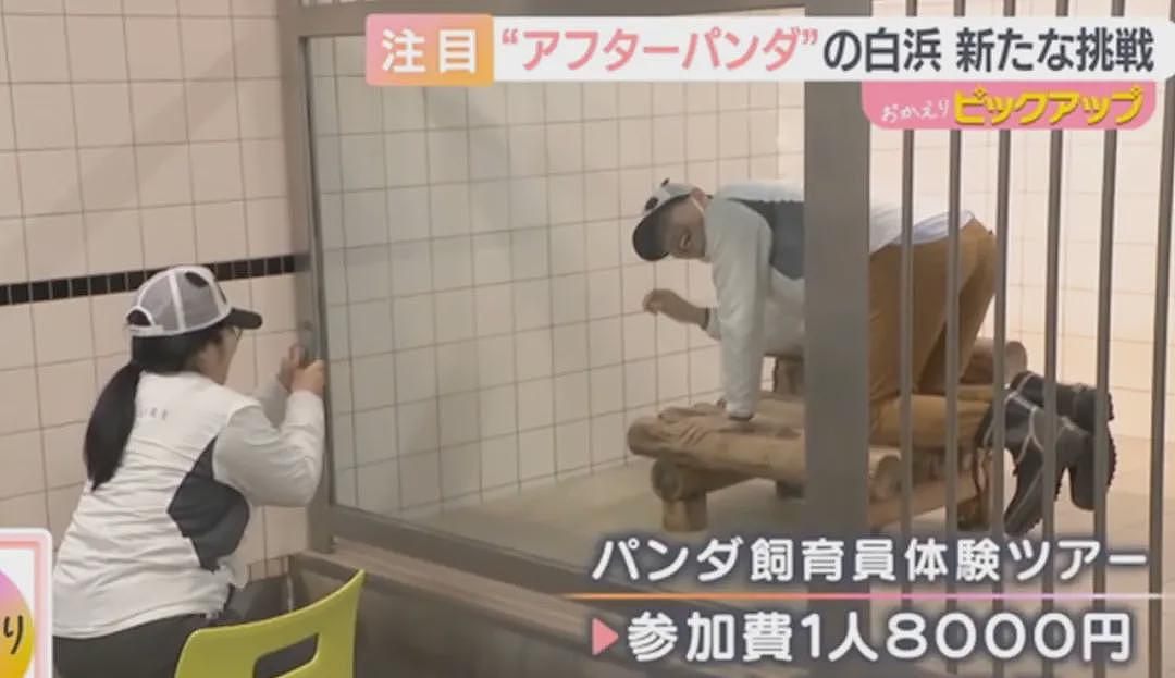 归还大熊猫后,日本游乐园让游客体验当饲养员,工作人员扮大熊猫配合?(组图) - 25