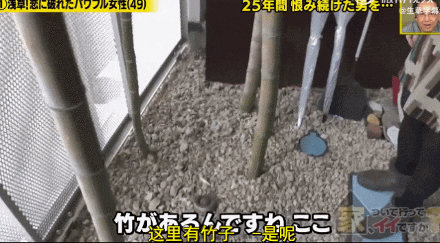 最燃爽文照进现实！被帅渣男玩弄感情后，大妈用25年上演“复仇行动”，结局却让全网意外（组图） - 4